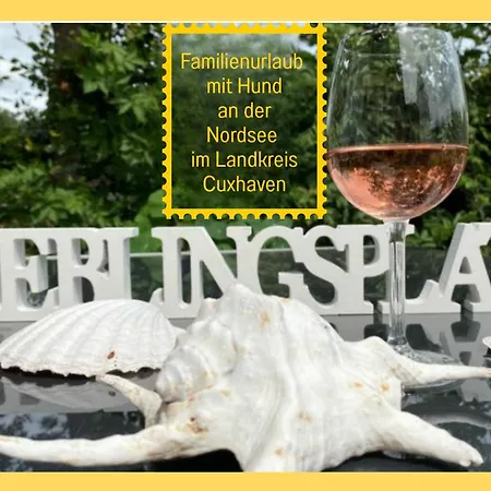 Tatil Evi - Hunde Herzlich Willkommen - Hoher Zaun - Terrasse Mit Ueberdachung - Familienfreundlich *