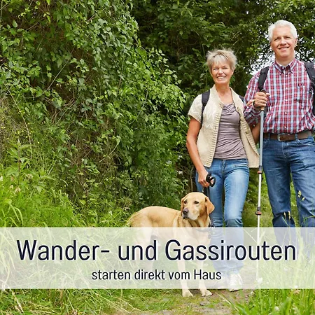 - Hunde Willkommen, Nicht Nur Geduldet - Hoher Zaun - Terrasse - Infrarotkabine - Familienfreundlich