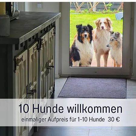 - Hunde Herzlich Willkommen - Hoher Zaun - Terrasse Mit Ueberdachung - Familienfreundlich