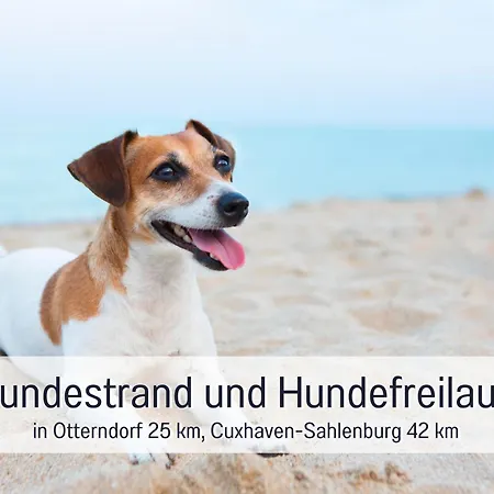 度假居 - Hunde Herzlich Willkommen - Hoher Zaun - Terrasse Mit Ueberdachung - Familienfreundlich